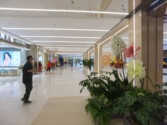 -凯德MALL(望京店)