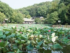-团城山公园