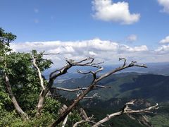 -凤凰山国家森林公园