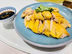 散养白斩鸡-席家花园(巨鹿花园店)