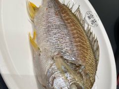 -吴记富苑(朝阳店)