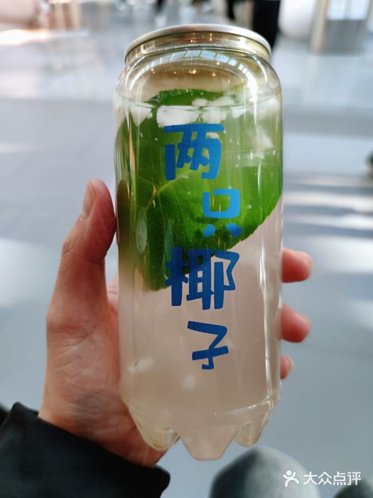 两只椰子(荟聚购物中心店)椰肉椰汁图片