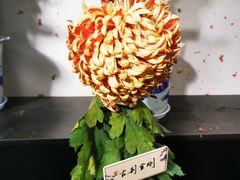-杭州植物园