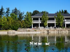 -中家鑫园温泉酒店鑫悦汤泉