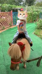 -萌宠亲子动物乐园(槐房万达店)