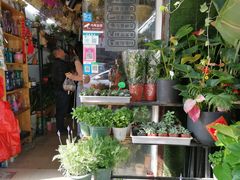 -溪岸路花鸟市场