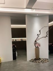 -C-18 SALON