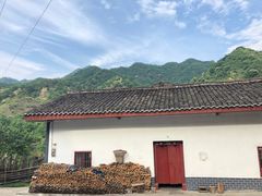 -牛背梁国家森林公园