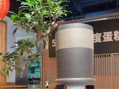 -嘉年华面包房餐厅（饺子馆）(陶然亭店)