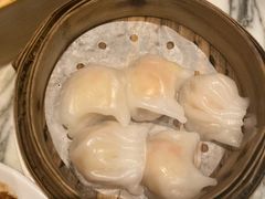虾饺-雍和会海鲜姿造自助(湖东路店)