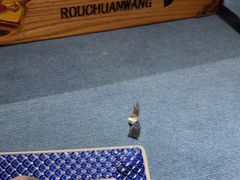 -肉串汪(望京店)