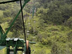 -磬锤峰森林公园