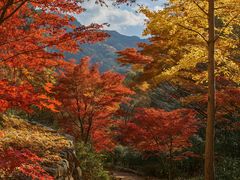 -四明山国家森林公园