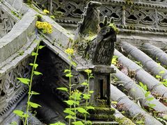 -石台牯牛降景区