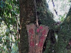 -云南屏边大围山国家公园