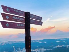 -阳台山森林公园