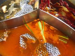 -大龙燚火锅(春熙店)