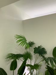 -HEYAN荷妍专业脱毛连锁机构