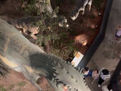 -湖南省地质博物馆