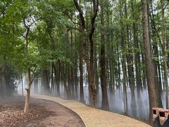 -东湖落雁景区