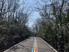 -南京老山国家森林公园
