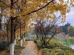 -白马涧龙池景区