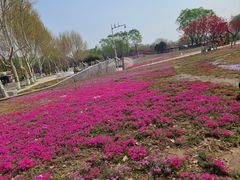 -石家庄市植物园