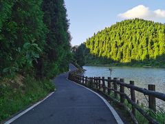 -武陵山森林公园