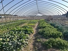 -美家乐农庄·露营·团建(大治路店)