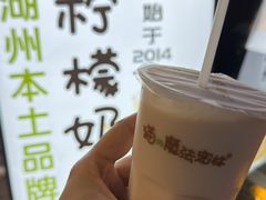 -猫的魔法密林(衣裳街店)