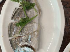 -长平肥姐白粥·海鲜打冷