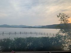 -湖畔居茶楼(湖滨店)