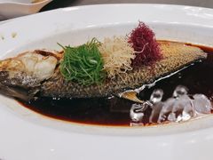-丰收日(五角场店)