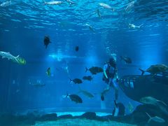 -福州罗源湾海洋世界旅游区