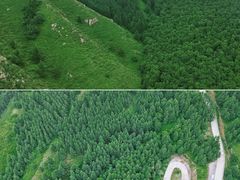 -苏木山森林公园