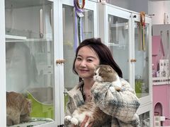 -青奢宠物·青奢猫舍