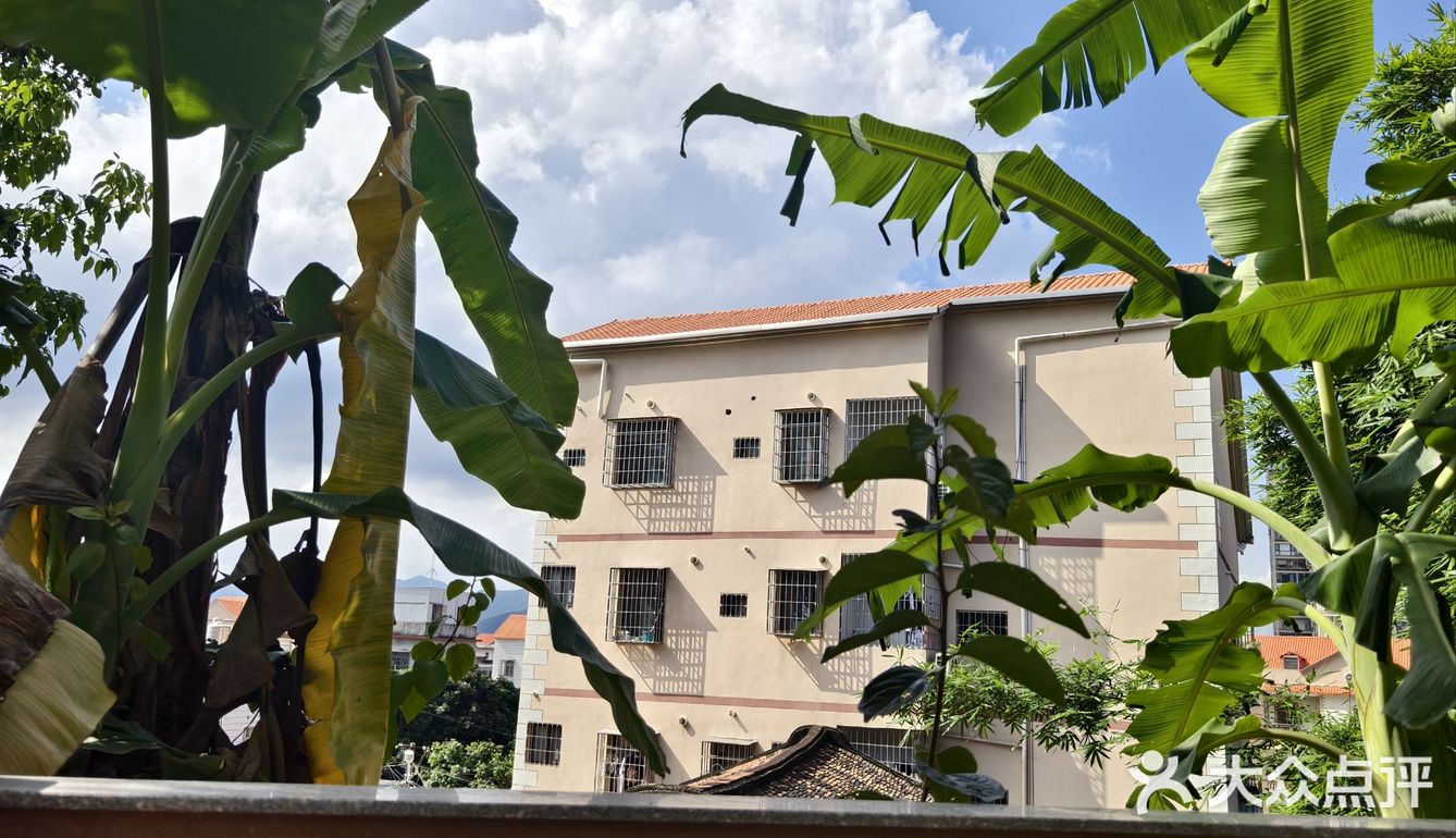 夏天冰饮大推荐