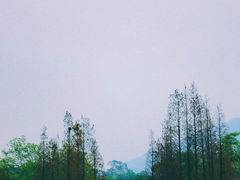 -森波拉火山温泉