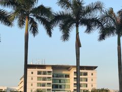 -顺德职业技术大学