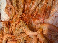 -万象·复兴号鲜肉烤肉海鲜自助(升级店)