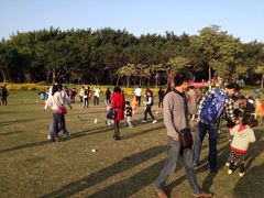 白鹭洲公园-白鹭洲公园