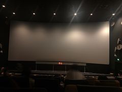 -百美汇影城(LUXE嘉里中心店)