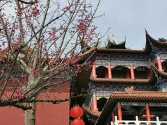 -皇罗禅寺