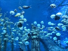 -波塞冬旅游度假区