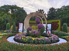 -上海共青森林公园