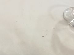 -翠清酒家(万丰路店)