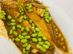 -苏启渔港(云南北路店)