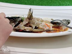 -宝燕壹号(徐汇店)