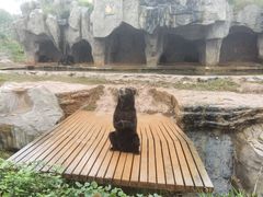 -海南热带野生动植物园