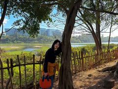 -华侨城湿地公园